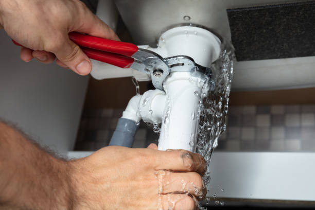 Best Water damage cleanup near me  in Apple Creek, OH