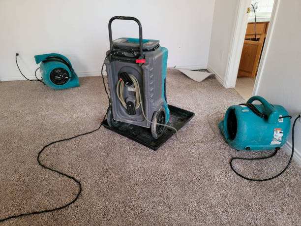 Best Basement water damage restoration  in Apple Creek, OH