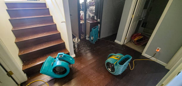 Best 24/7 water damage repair  in Apple Creek, OH