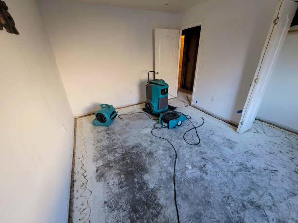 Best Sewage cleanup and water damage restoration  in Apple Creek, OH