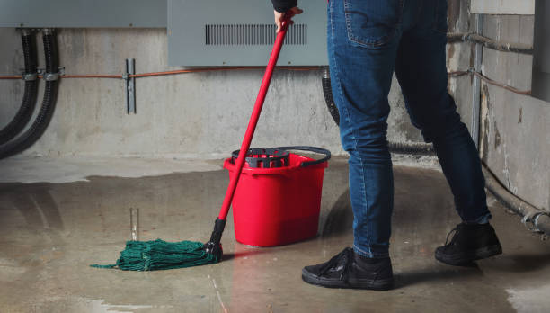 Best Flood damage cleanup  in Apple Creek, OH