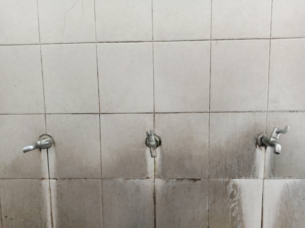  Apple Creek, OH Water damage restoration Pros